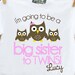 Big sister to be to twins owl pregnancy announcement Tshirt