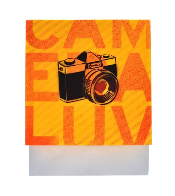 Cameraluv - Camera Crazy - 12x12 Acrylic on Wood
