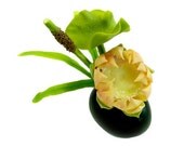 Miniature Polymer Clay Supplies Handmade Lotus Reed Diffuser,