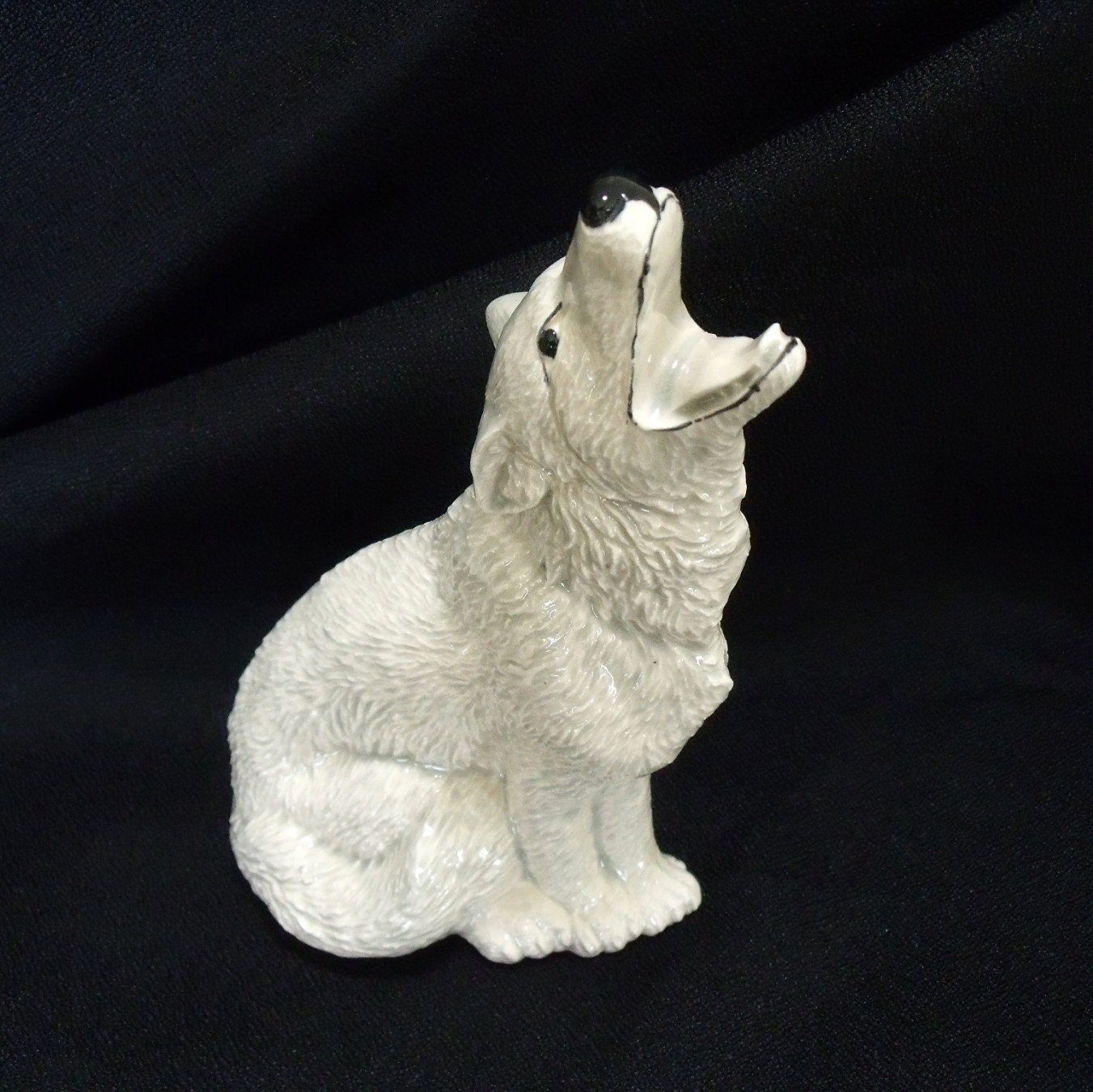 Pale Gray Howling Coyote