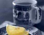 A Pair of Lemons - 5 x 7 Fine Art Photography Print