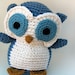Crochet Owl: Custom Stuffed Owl OOAK
