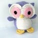 Crochet Owl: Custom Stuffed Owl OOAK