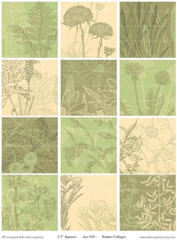 2.5 Inch Squares - Botanical Collages - Digital Collage Sheet 936
