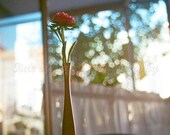 A Cafe Delight - 11x14 Etsy Original Art Photography Print