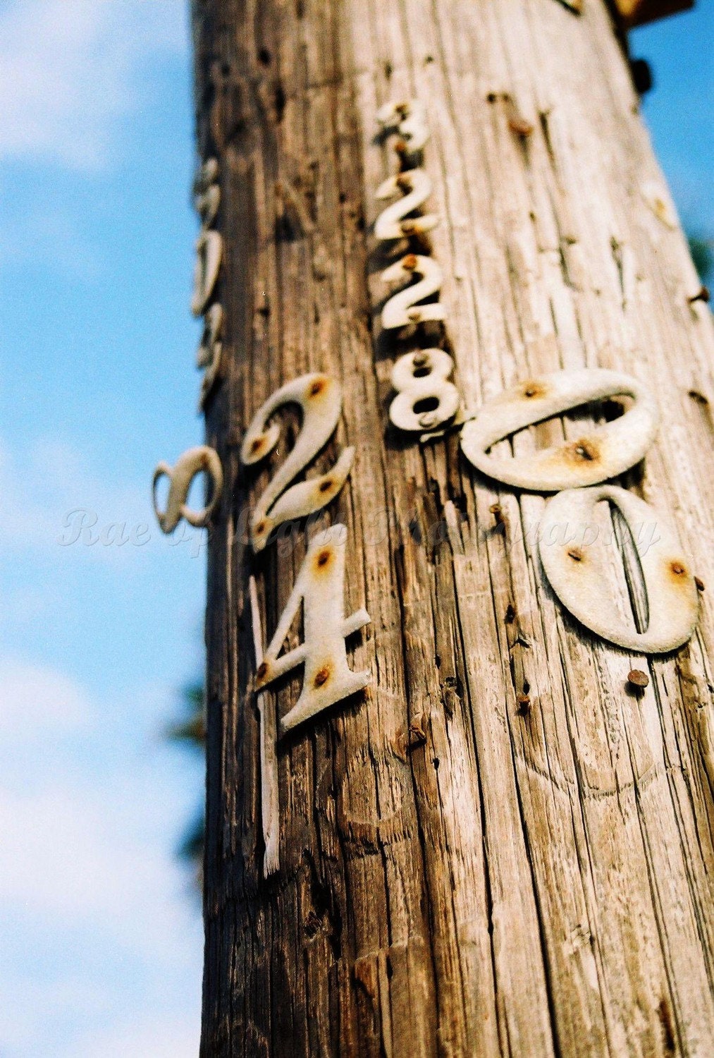 Can I Have your Number- 4x6 Etsy Original Photography Art Print