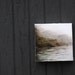 Landscape Photography, Art, Limited Edition Encaustic Photograph Mounted on Panel, 6", Mist Fog