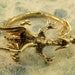 Bronze Dragon Whisperer Hoop - Ear Cuff