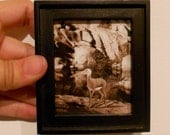 Animal Art, Miniature framed picture, Pelicandeer Hybrid in Joshua Tree, Sepia