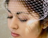 Wedding, Bridal, Bird Cage Veil, Rhinestones, Ivory, White, Silver Plated Comb, ifanhour, Custom, Veil