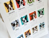 2013 Boston Terrier Calendar Print - Eco-Friendly 8x10 Size