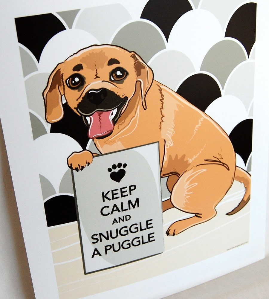 Puggle Backgrounds