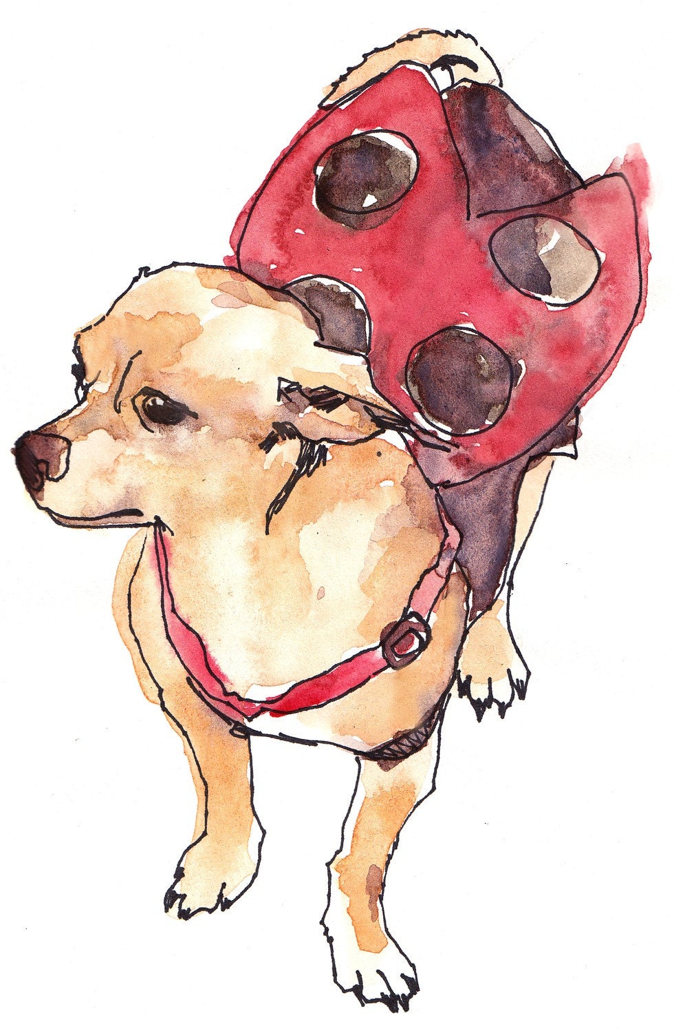 Ladybug Chihuahua Print