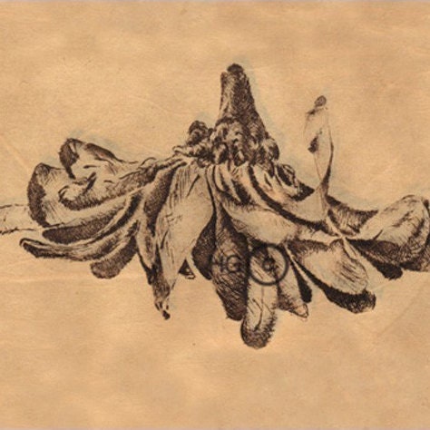 8 Note Cards blank on the inside flowers nudes etching intaglio