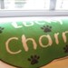 Lucky Charm St. Patrick's Day Dog Tshirt