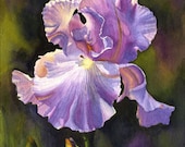 Purple Iris Art Watercolor Painting Print by Cathy Hillegas, watercolor iris, spring Mothers Day, purple, lilac, yellow, orange, blue, green