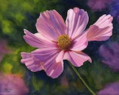Pink Cosmos art watercolor painting print of original floral painting by Cathy Hillegas, 8x10, pink, purple, green, blue, gold