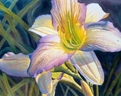 Daylily art watercolor painting print by Cathy Hillegas, 8x10, floral, flowers, white, cream, yellow, purple, blue green