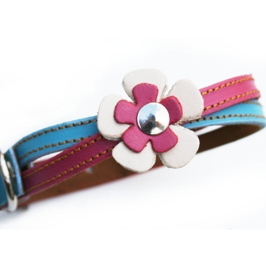 Swirl Leather Dog Collar in Blue and Hot Pink