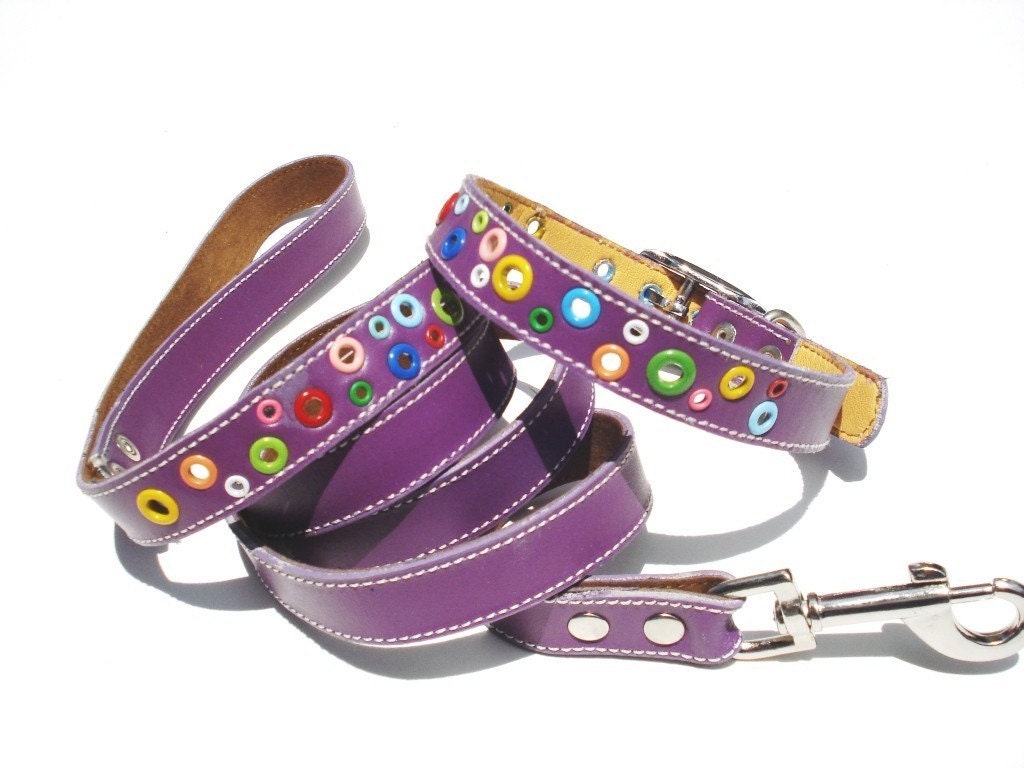 Loki Puppy Leather Dog Collar and Leash Set Purple