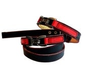 Cool Leather Dog Collar and Leash Set Black and Red