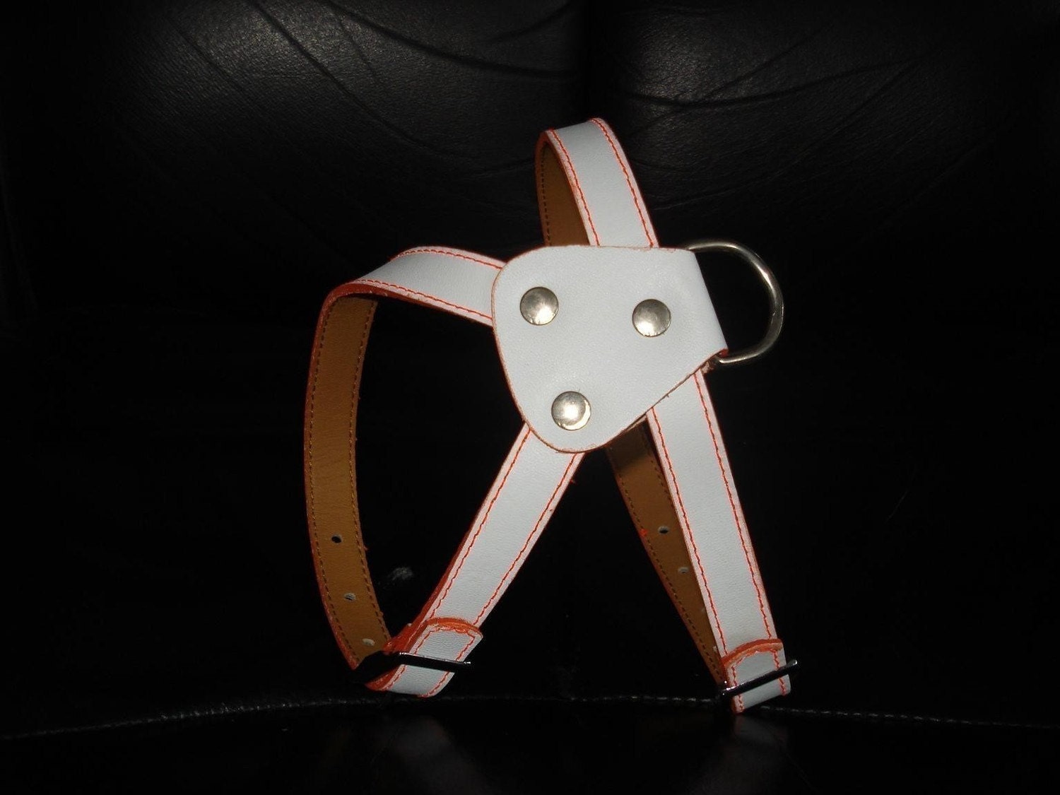 Cool White Leather Dog Harness