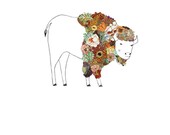 Bison, flowers. 8x10 print