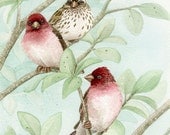 Bird Tree with Finches - 5x7 archival watercolor print by Tracy Lizotte