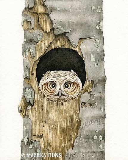 Peek A Boo Owl - 8x10 archival watercolor print by Tracy Lizotte