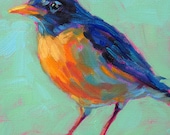Robin - Bird Art - Giclee Print