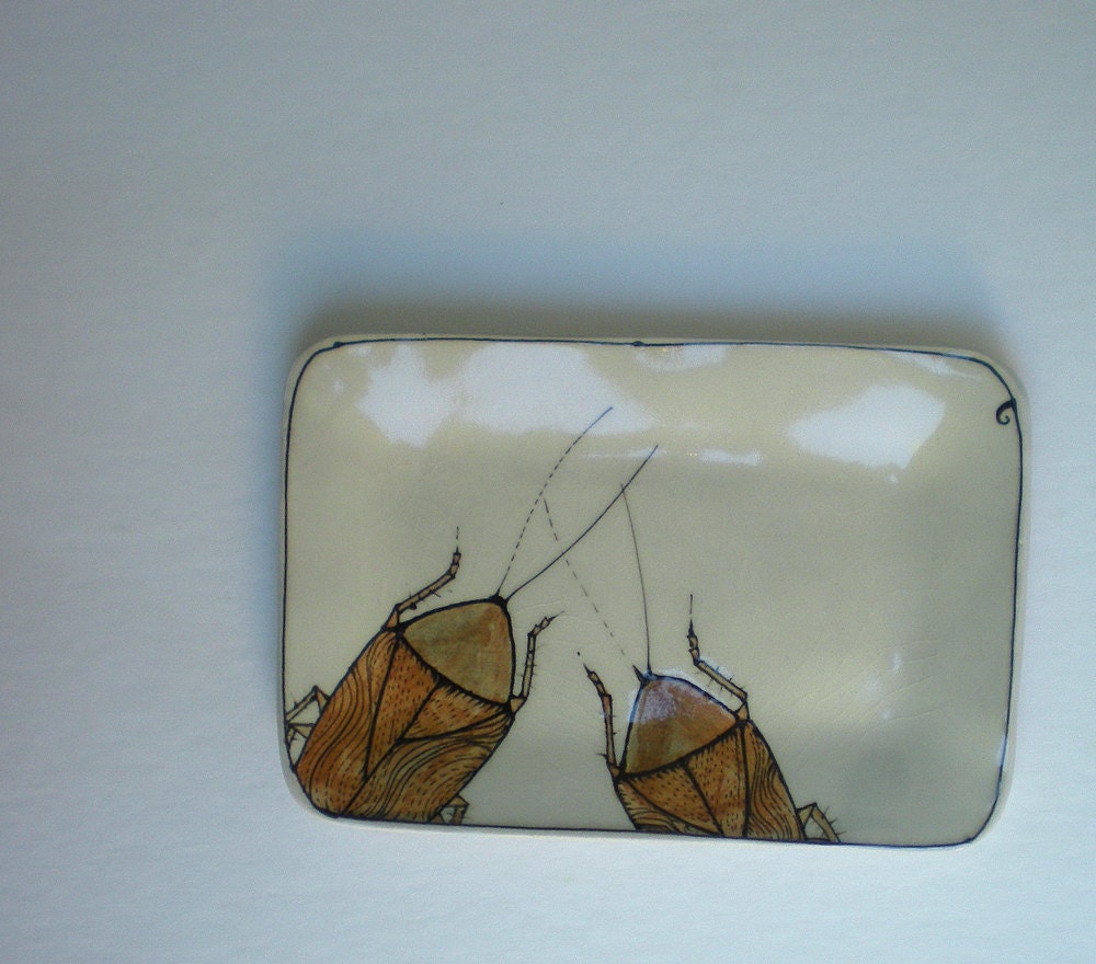 cockroach  tray