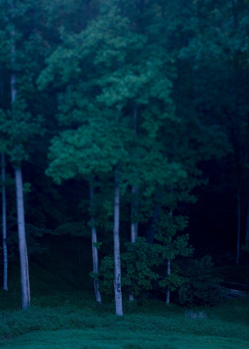 The Blue Hour 5x7