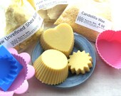 Lotion Bar Kit - Makes 12 Shea & Cocoa Butter Lotion Bars, Includes 3 Recipes - Kit - DIY Kit -  Christmas Gift for Crafter