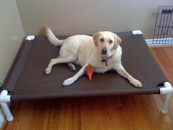 Large Dog Bed, Raised Dog Pet Cot, 12 Canvas Colors, Can Be Used Indoor-Outside 44x44x10