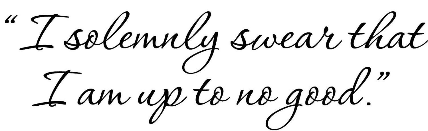 Harry Potter Vinyl Wall Decal  I am up to no good 007-22"