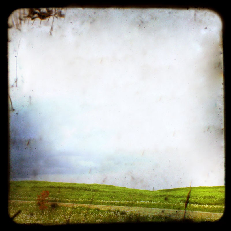The Field - Original FIne Art Photograph