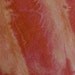 Wild Roses Marbleized Wool