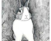 Little Rabbit   Print