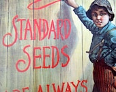Ferry and Co Standard Seeds For Sale Here Boy Standing By Fence Vintage Advertising Poster Size Book Plate