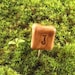 Make Your Own Moss Terrarium - Chic Moss Terrarium Kit No.25 Comes with Monogram of Choice