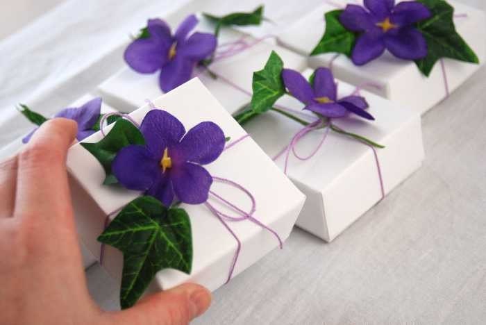 African Violet Gift Boxes set of 5