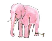 Anything is Possible  - Elephant tied to a Rope -  Art Print