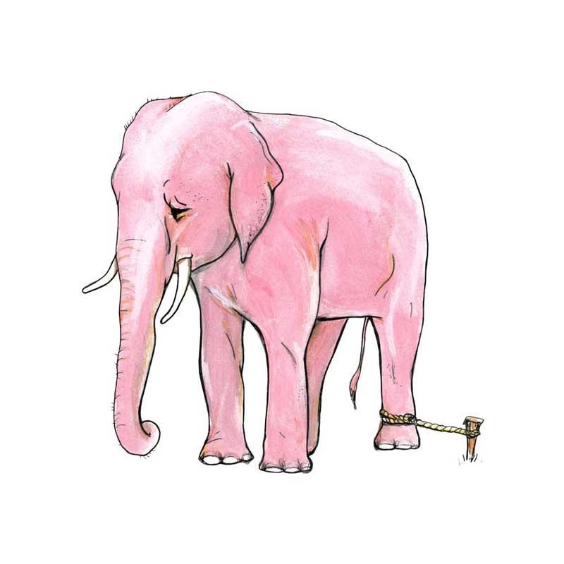 Anything is Possible  - Elephant tied to a Rope -  Art Print