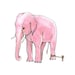 Anything is Possible  - Elephant tied to a Rope -  Art Print