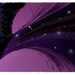 The Nightbird