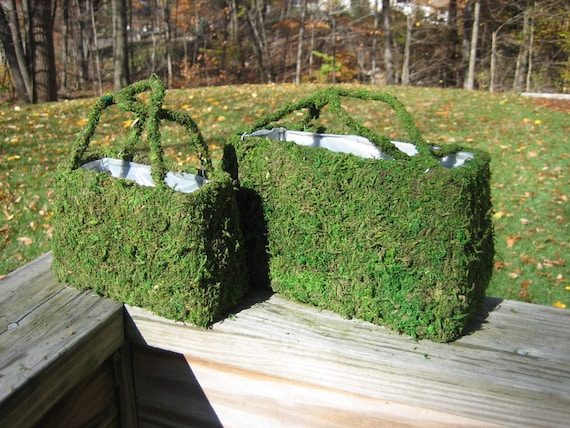 TWO Natural Green Moss Purse Planter with handles small and large