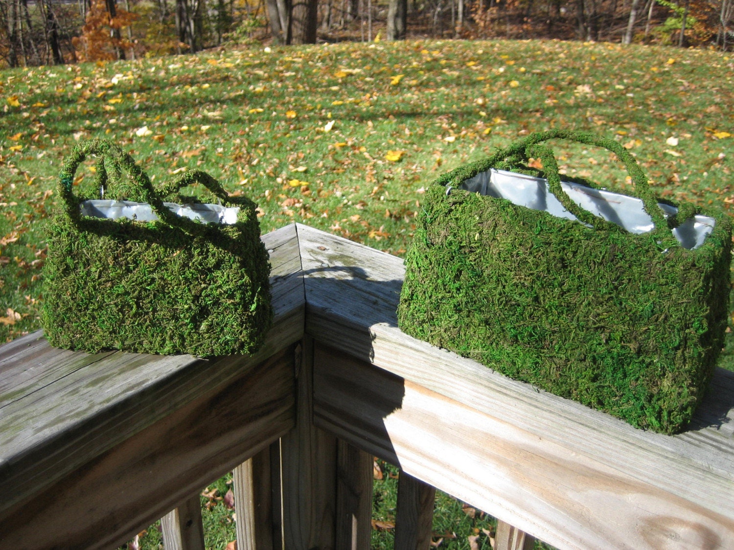 TWO Natural Green Moss Purse Planter with handles small and large