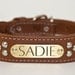 Cone Stud Dog Collar, Leather Dog Collar, Studded Dog Collar, engraved dog collar, personalized collar