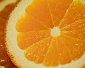 Florida Oranges Citrus Fine Art Photograph