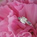 Heart of Water Diamond Engagement Ring (Made to Order, Variable Gems and Prices Available)